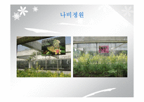 `서울숲` 조경 조사-6