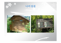 `서울숲` 조경 조사-7