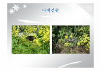 `서울숲` 조경 조사-8