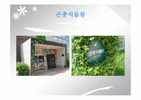 `서울숲` 조경 조사-10