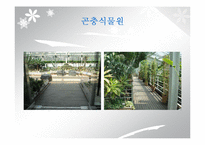 `서울숲` 조경 조사-11