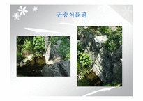`서울숲` 조경 조사-12