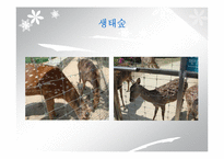 `서울숲` 조경 조사-13