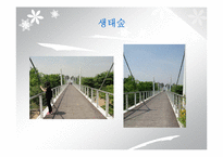 `서울숲` 조경 조사-14