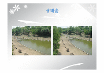 `서울숲` 조경 조사-15