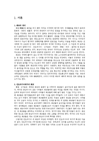 인도네시아 반 화교 폭동 분석-2