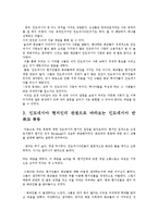 인도네시아 반 화교 폭동 분석-6