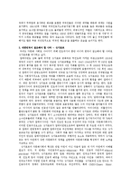 인도네시아 반 화교 폭동 분석-10