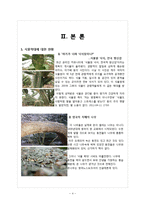 식물학대 현황과 사회복지적 개입방법-5