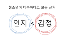 청소년 판단 미숙-20
