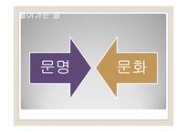 노르베르트 엘리아스 `문명의 과정`-3