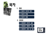 한류와 반한류 레포트-3