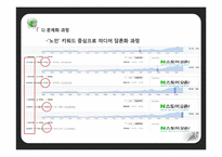 우리나라 고령화 문제 연구-12