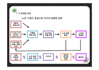 우리나라 고령화 문제 연구-15