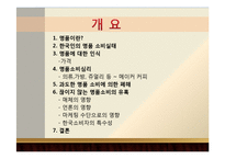 한국사회 명품 소비 실태 분석-2