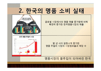 한국사회 명품 소비 실태 분석-5