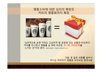 한국사회 명품 소비 실태 분석-13