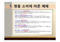 한국사회 명품 소비 실태 분석-16