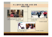 한국사회 명품 소비 실태 분석-17
