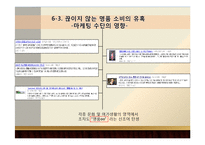 한국사회 명품 소비 실태 분석-19