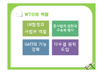 WTO와 세계화, 반세계화-7