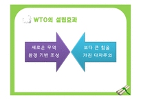 WTO와 세계화, 반세계화-11