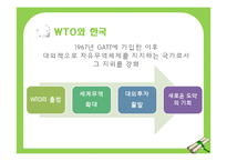 WTO와 세계화, 반세계화-13