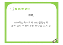 WTO와 세계화, 반세계화-14