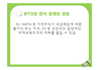 WTO와 세계화, 반세계화-17