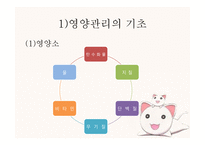 영유아 영양교육과 안전교육-4