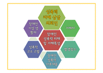 여성장애인 성폭력 문제와 복지 정책 고찰-11