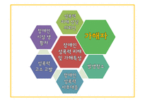 여성장애인 성폭력 문제와 복지 정책 고찰-12