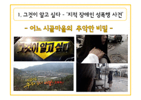 여성장애인 성폭력 문제와 복지 정책 고찰-19