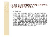 원자력 발전소 찬반논란-12