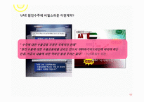 [외교정책] 이명박정부의 자원외교 비판-UAE원전수주를 중심으로-17