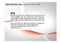 해외긴급구호 레포트-4