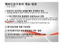 해외긴급구호 레포트-10