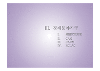 라틴아메리카 통합 정치(1)-19