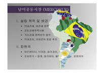 라틴아메리카 통합 정치(1)-20