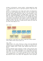 SCM성공 및 실패 사례와 발전방향-6