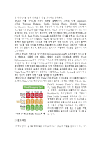마케팅 조사의 활용 사례 연구-영국 FSA의 Food Traffic System-11