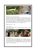 의성 산수유 축제 발전방안-네덜란드 큐켄호프 꽃 축제 성공사례 바탕-4