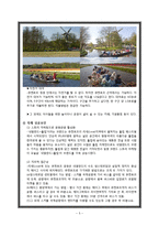 의성 산수유 축제 발전방안-네덜란드 큐켄호프 꽃 축제 성공사례 바탕-5