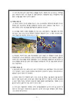 의성 산수유 축제 발전방안-네덜란드 큐켄호프 꽃 축제 성공사례 바탕-10