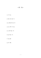 싸이월드(Cyworld) 마케팅 전략 계획-2