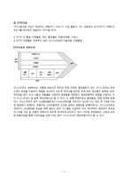 이니스프리 SWOT, STP, 마케팅 믹스 전략-11