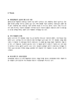이니스프리 SWOT, STP, 마케팅 믹스 전략-17