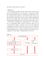 금호 타이어의 유통채널 분석-6