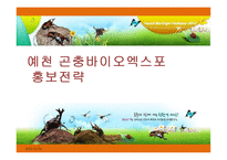 예천 곤충바이오엑스포 홍보전략-1