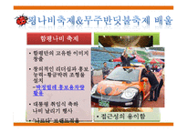 예천 곤충바이오엑스포 홍보전략-7